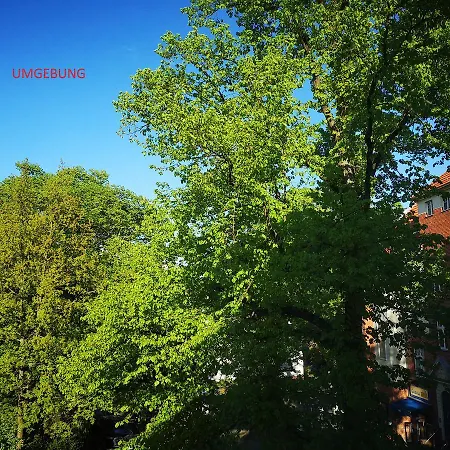 Il Mulino Berlin